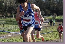 Begles 15.12.13 01 632 * 679 x 453 * (160KB)